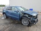 2025 Cadillac Xt4 Premium Luxury en Venta en Harleyville, SC - Front End