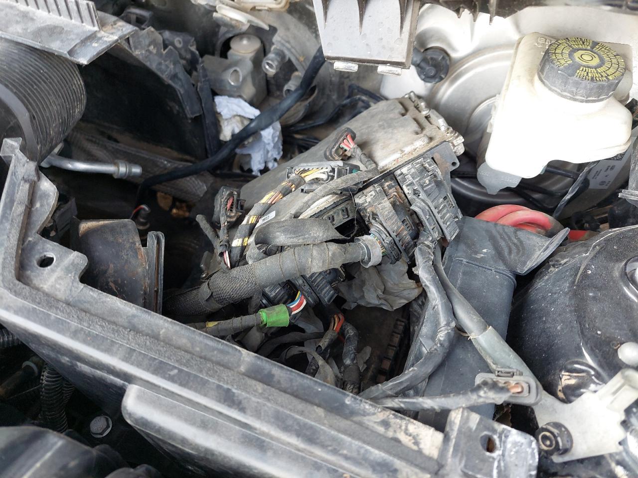 WMW43DL03P3P74356 - 2023 Mini COOPER - #59464725