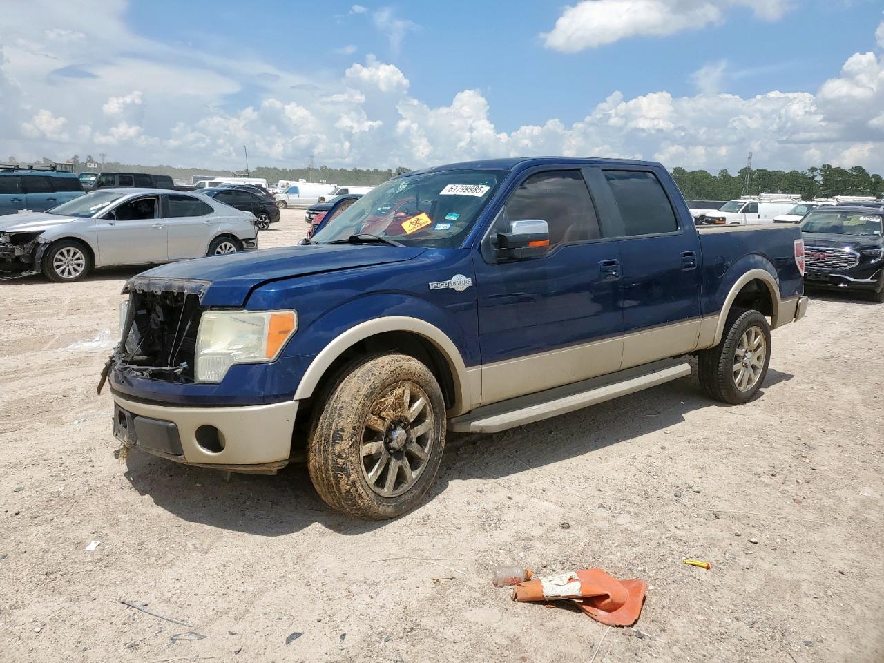 2010 Ford F150 Supercrew blue null flexible 1FTFW1CV5AKB57681 photo #1