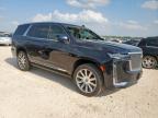 2024 Cadillac Escalade Premium Luxury Platinum for Sale in San Antonio, TX - Front End