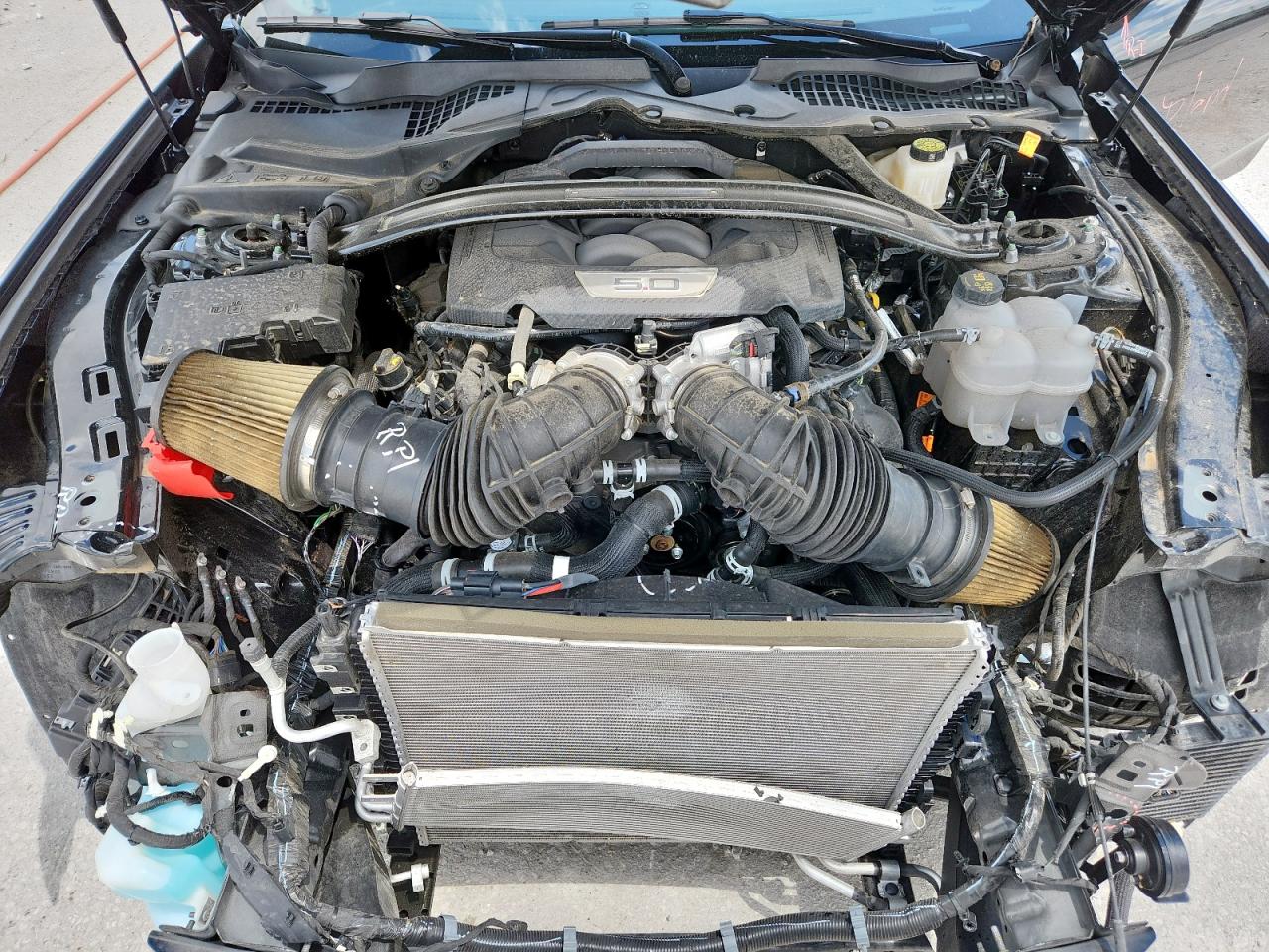 1FA6P8R0XR5506478 FORD MUSTANG DA 2024
