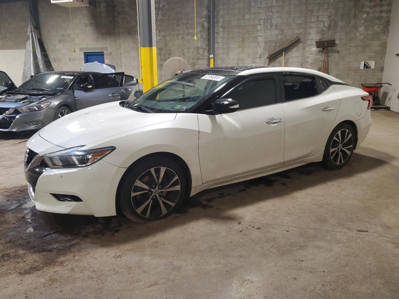 1N4AA6AP5JC406202 NISSAN MAXIMA 2018