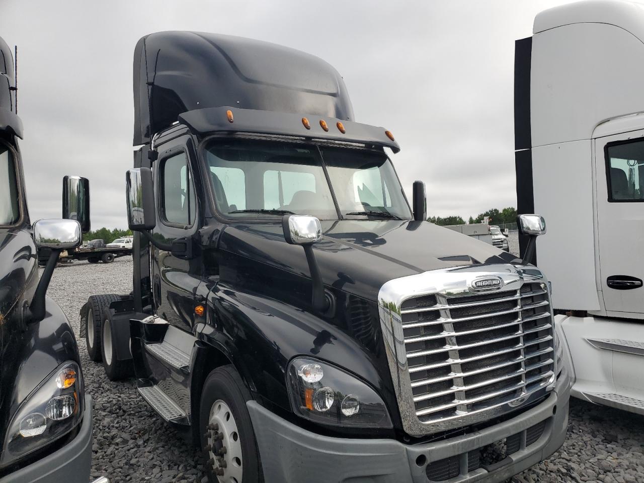 Memphis, TN에서 판매 중인 2016 Freightliner Cascadia Semi Truck - Normal Wear