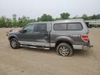 2010 Ford F150 Supercrew for Sale in Columbia Station, OH - Side
