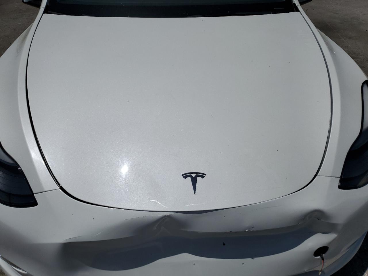 2023 Tesla Model Y VIN: 7SAYGDEE7PF791135 Lot: 61653345