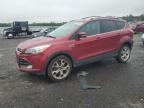 2013 Ford Escape Titanium for Sale in Fredericksburg, VA - Rear End