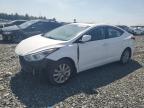 2016 HYUNDAI ELANTRA SE for sale at Copart NS - HALIFAX