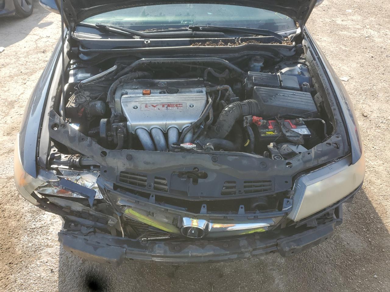 2008 Acura Tsx VIN: JH4CL96888C000701 Lot: 62878435