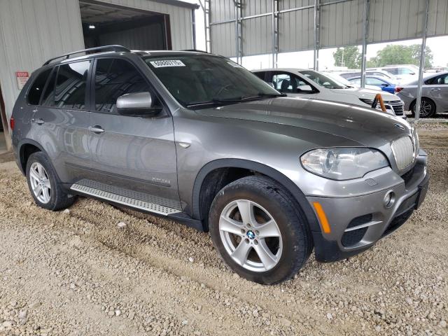 Parquets BMW X5 2012 Gray