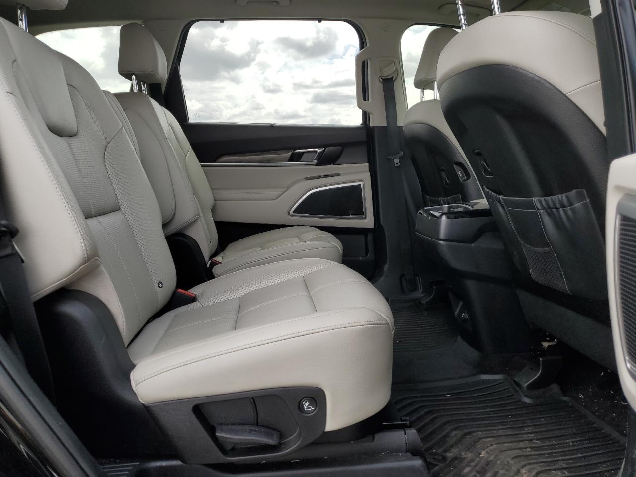 2020 Kia Telluride Ex VIN: 5XYP3DHC5LG054503 Lot: 61080555