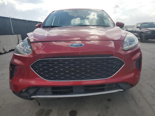  FORD ESCAPE 2020 Czerwony