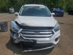 2017 Ford Escape Se   zu verkaufen in Cookstown, ON - Front End