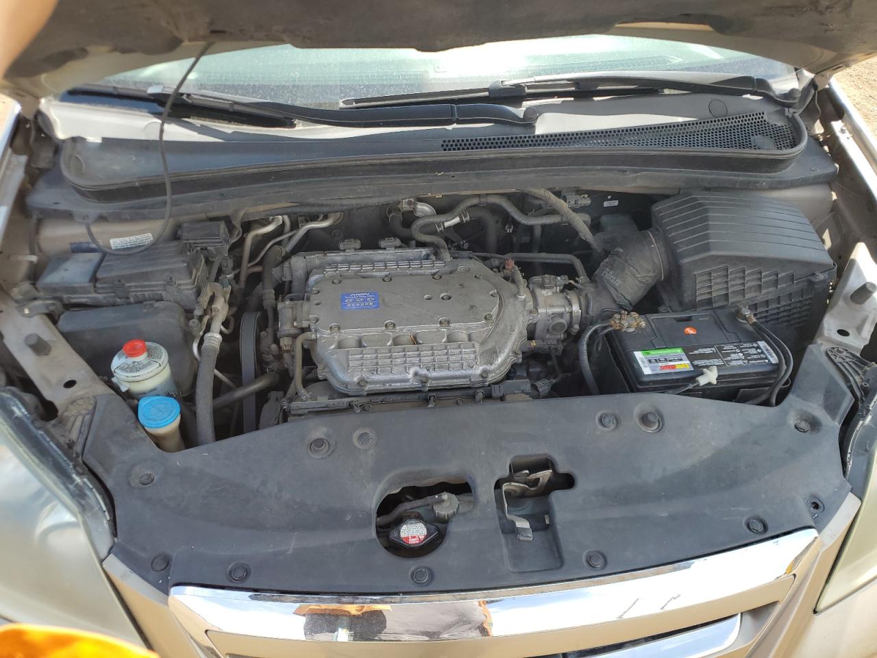 2005 Honda Odyssey Exl VIN: 5FNRL38635B420269 Lot: 60754595