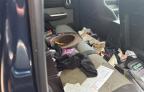 2008 Dodge Nitro Slt for Sale in Candia, NH - Normal Wear