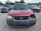 2006 Ford Escape Xlt for Sale in Madisonville, TN - Front End