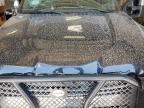2017 Ford F250 Super Duty for Sale in Abilene, TX - Front End
