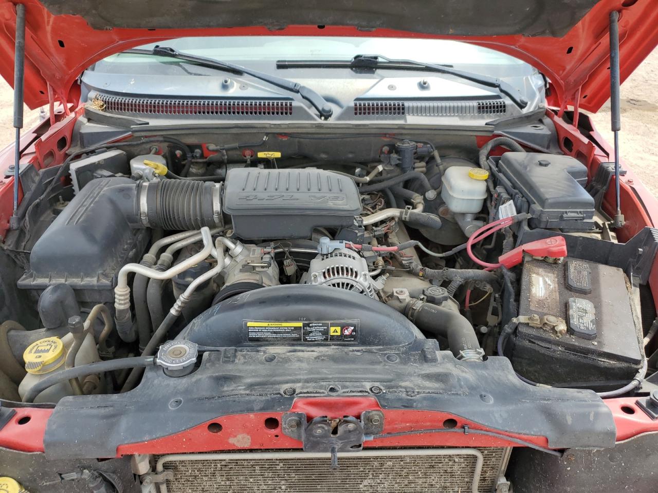 2006 Dodge Dakota Quad Slt VIN: 1D7HW48N06S656646 Lot: 60980315