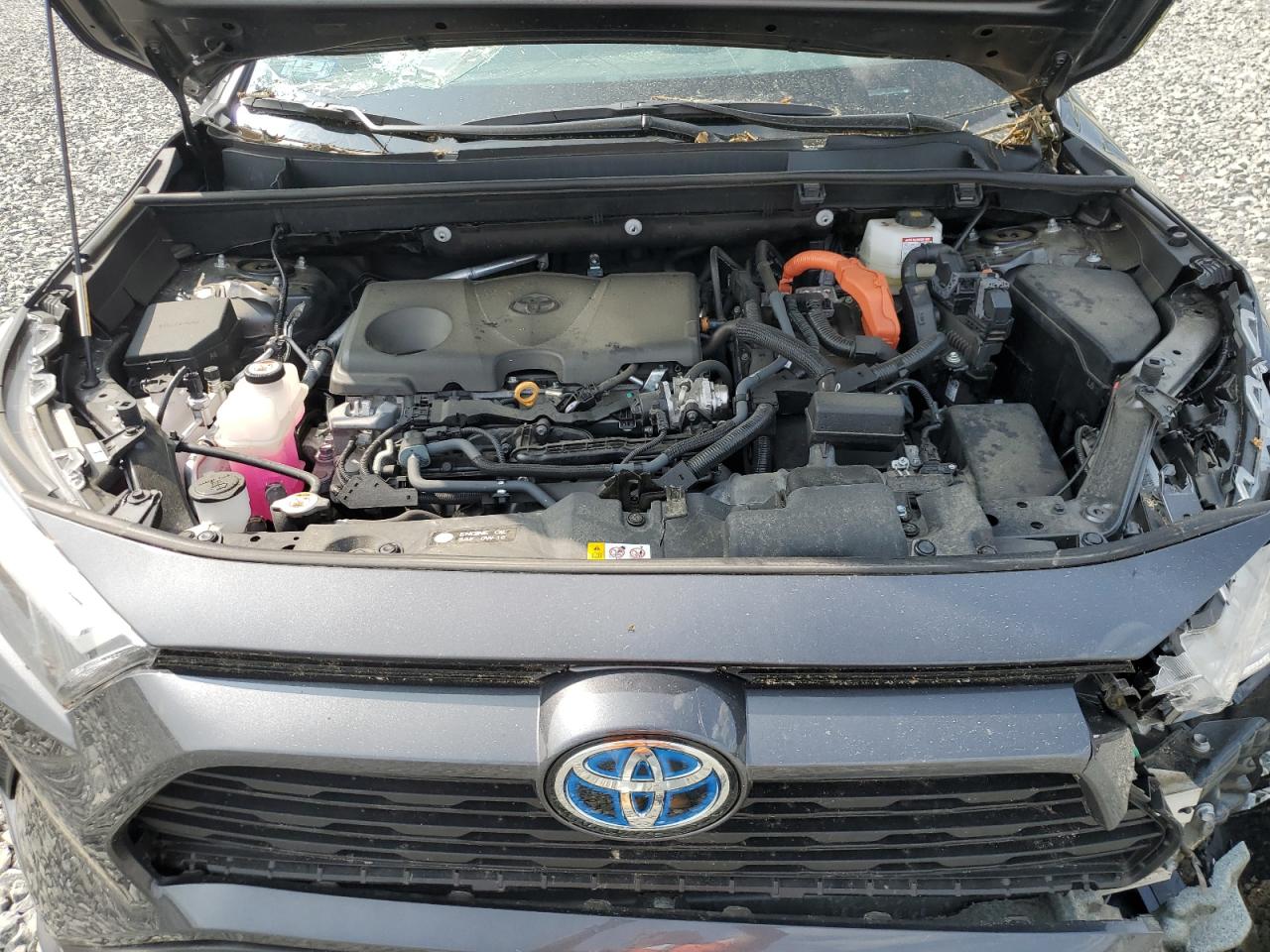 2T3RWRFV9RW201773 TOYOTA RAV4 2024