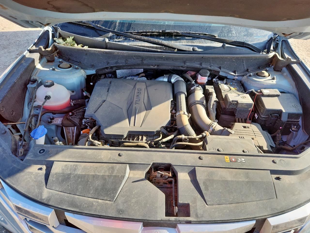 2023 Hyundai Santa Cruz Sel Premium VIN: 5NTJDDAF1PH069040 Lot: 60933235