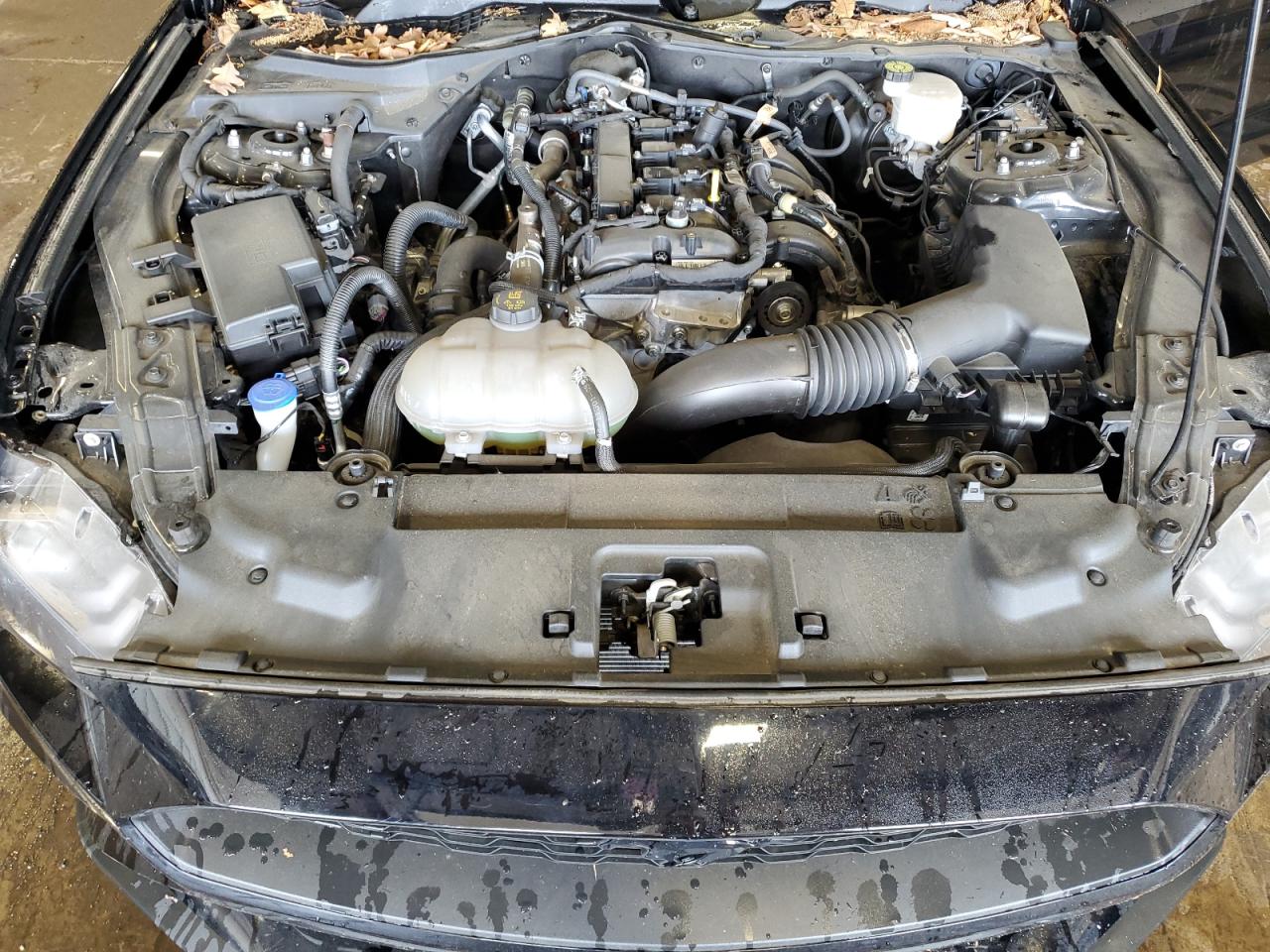 2022 Ford Mustang VIN: 1FA6P8TH2N5122428 Lot: 62330365