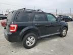 2008 Ford Escape Xlt იყიდება Sun Valley-ში, CA - Minor Dent/Scratches