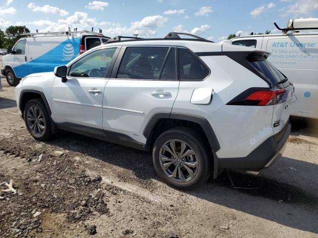  TOYOTA RAV4 2024 Белы