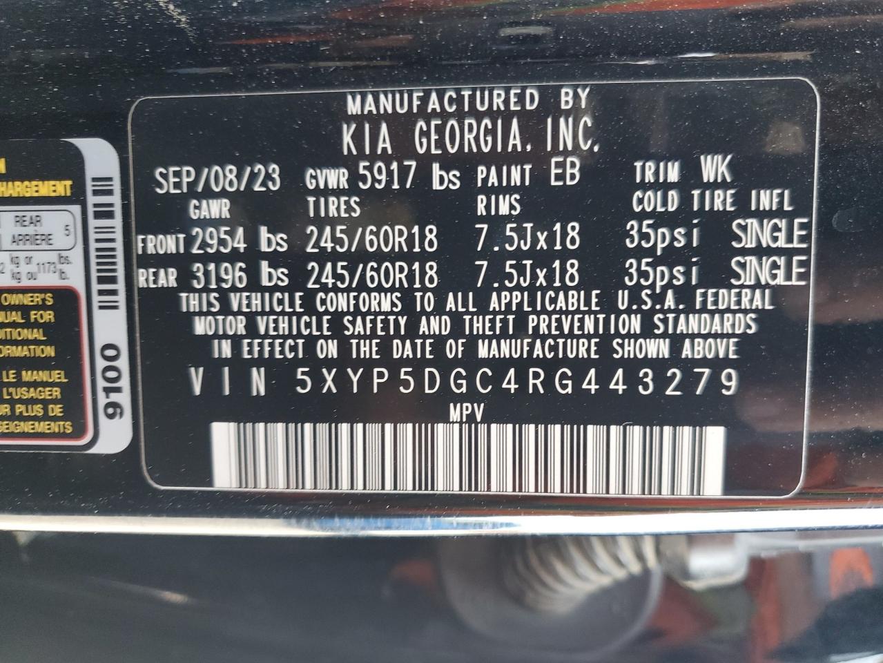 2024 Kia Telluride Sx VIN: 5XYP5DGC4RG443279 Lot: 62202395