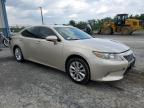 2013 Lexus Es 300H იყიდება Chambersburg-ში, PA - Rear End