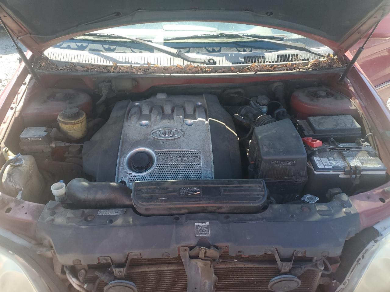 2004 Kia Sedona Ex VIN: KNDUP131846553005 Lot: 59636105