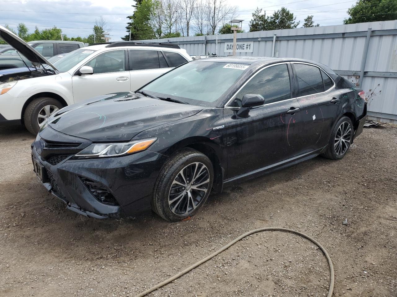 2019 Toyota Camry Hybrid VIN: 4T1B21HKXKU511026 Lot: 60199655