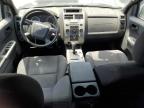 2011 Ford Escape Xlt na sprzedaż w Wilmington, CA - Minor Dent/Scratches