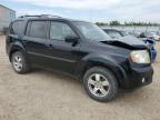 2011 HONDA PILOT EXL   for sale at Copart AB - EDMONTON