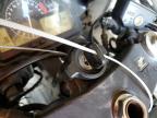 2004 Honda Cbr600 Rr for Sale in Phoenix, AZ - Minor Dent/Scratches