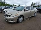 2009 TOYOTA COROLLA BASE   à vendre chez Copart ON - TORONTO