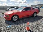 2006 Ford Mustang  for Sale in Arcadia, FL - Front End