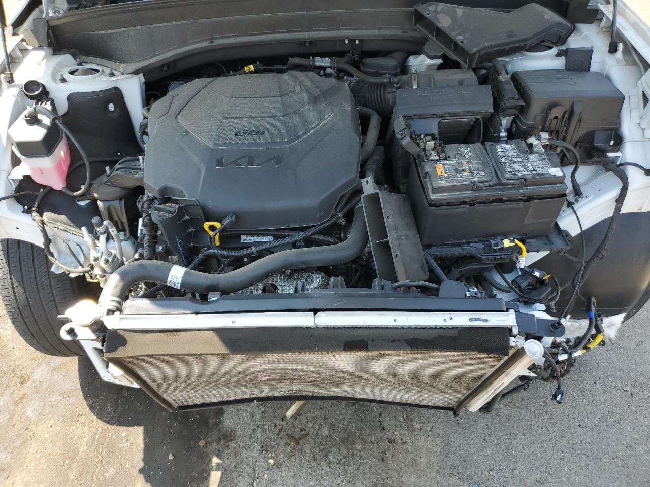 2022 Kia Telluride Sx VIN: 5XYP54HC0NG298668 Lot: 62716655