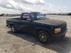 1995 Dodge Dakota    na sprzedaż w Earlington, KY - Side