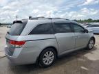 2016 Honda Odyssey Exl zu verkaufen in Montgomery, AL - Front End