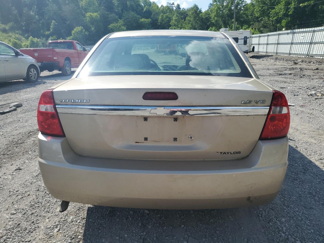 2005 Chevrolet Malibu Ls VIN: 1G1ZT54895F163559 Lot: 61725015