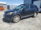 2009 HONDA CR-V EX   for sale at Copart NS - HALIFAX