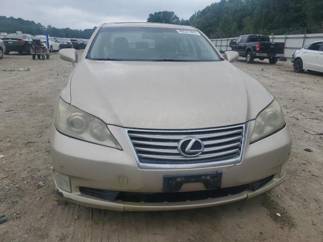  LEXUS ES350 2012 Колір засмаги
