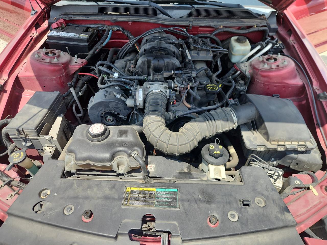 2005 Ford Mustang VIN: 1ZVFT84N455187062 Lot: 61953205