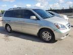 2006 Honda Odyssey Exl на продаже в Orlando, FL - Front End