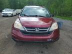 2010 HONDA CR-V LX   for sale at Copart ON - COOKSTOWN