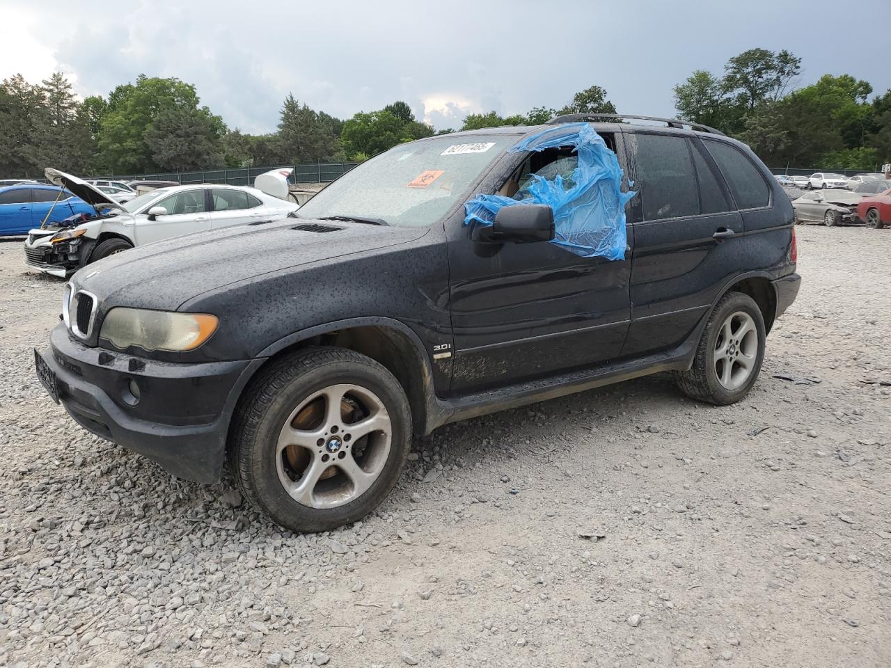 Фото: 5UXFA535X3LV97087