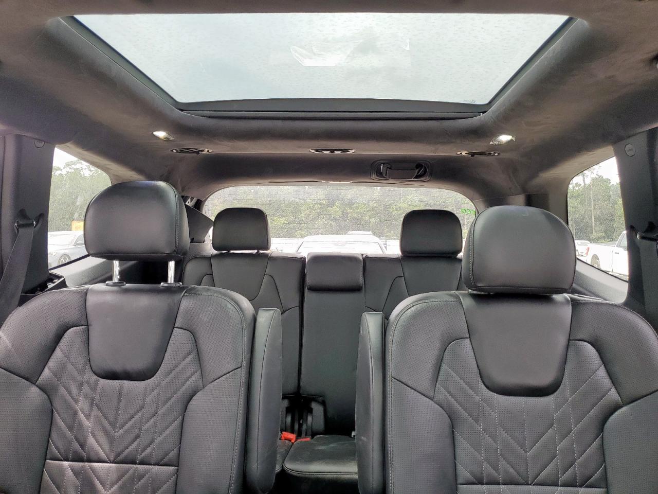 2024 Kia Telluride Sx VIN: 5XYP5DGC3RG493137 Lot: 62479505