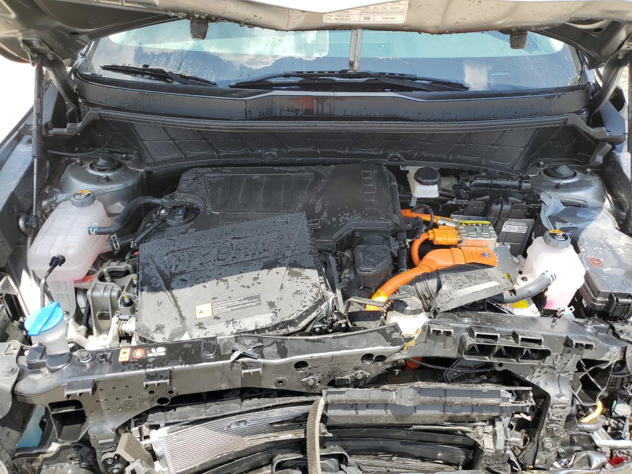 2024 Kia Niro Ex VIN: KNDCR3LE8R5156735 Lot: 62310195