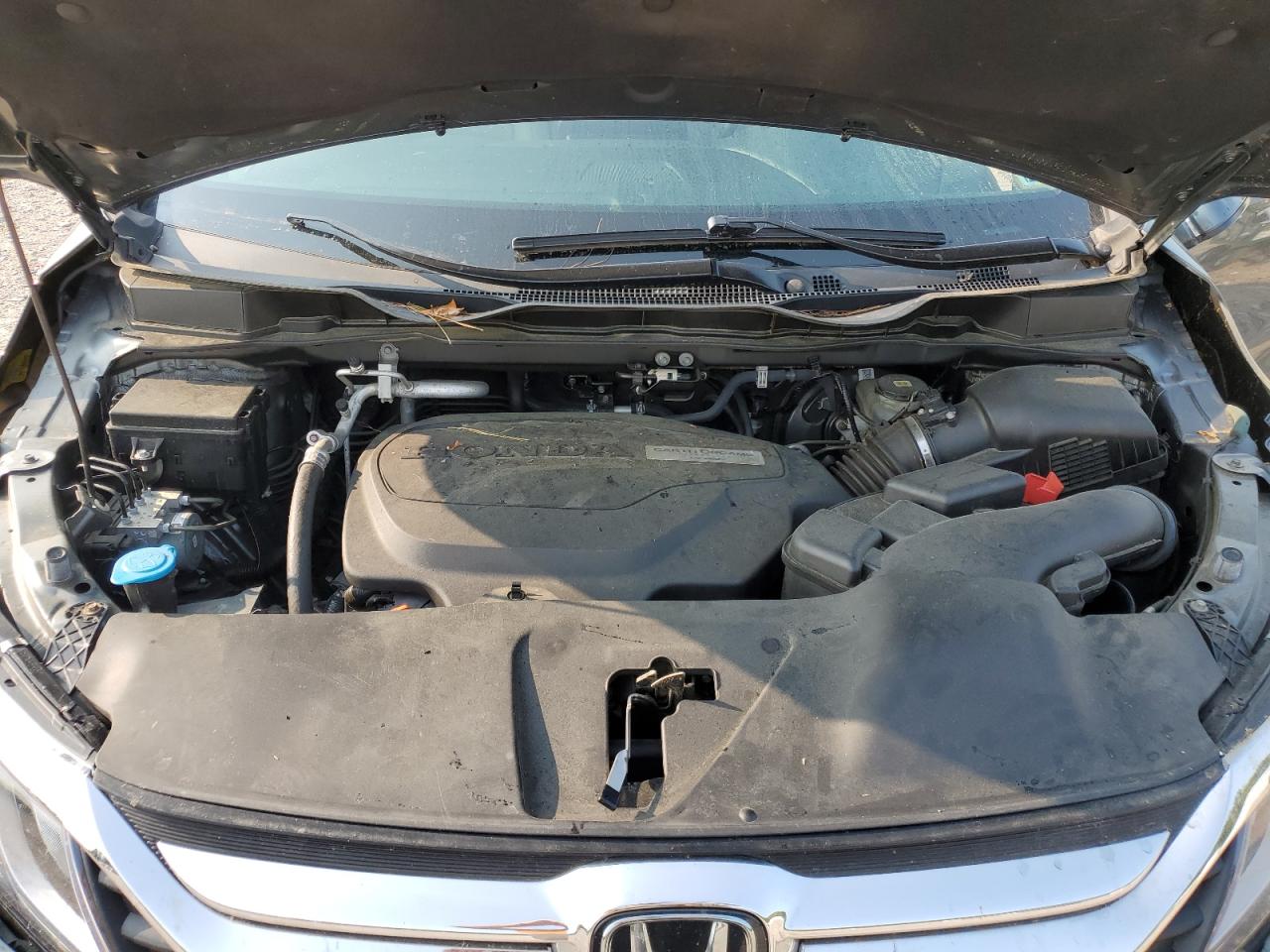 5FNRL6H71KB032236 HONDA All Models 2019
