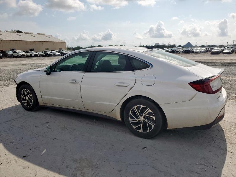 HYUNDAI SONATA 2023 Белы
