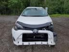 2019 TOYOTA COROLLA L   à vendre chez Copart ON - COOKSTOWN